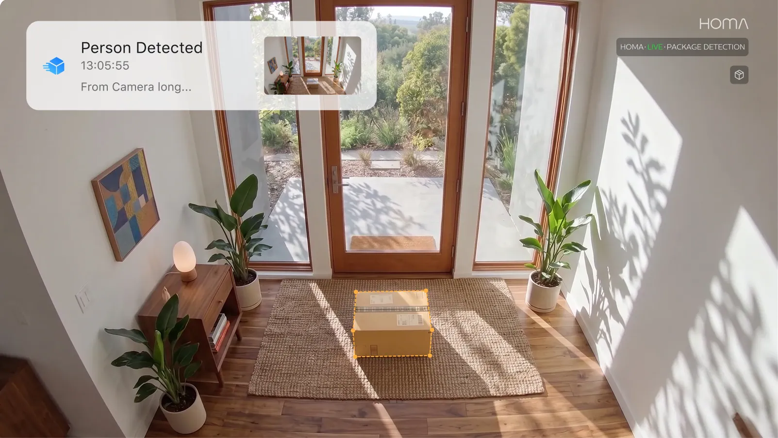 Package detection